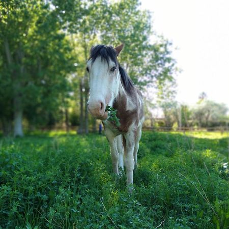 La Matera Posada De Campo 산라파엘 외부 사진