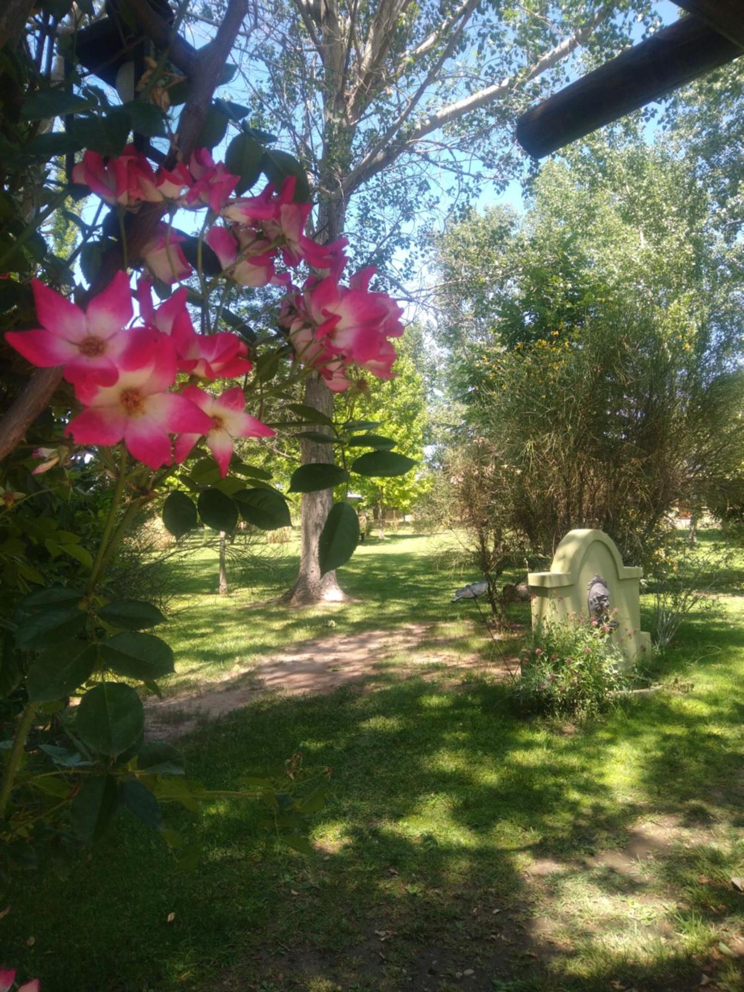 La Matera Posada De Campo 산라파엘 외부 사진